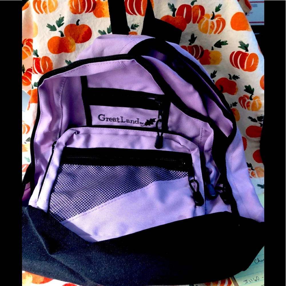 Nwot Great Lakes backpack